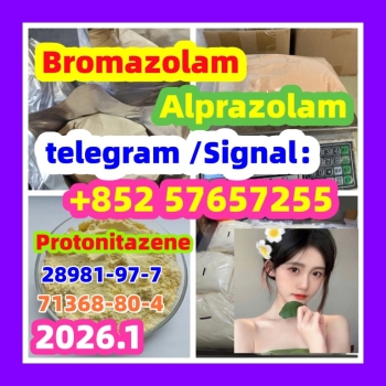 Ogłoszenie - BMK Glycidic Acid sodium salt CAS 5449 - 12 - 7