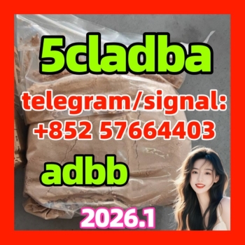 Ogłoszenie - Strongest 5cladba 5CL-ADB-A precursor Cannabinoids 1119-51-3 68-12-2 dmf