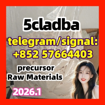 Ogłoszenie - 5cladba raw material 5CL-ADB-A precursor raw 5cladba 5f adb  1119-51-3 68-12-2 dmf