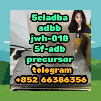 Ogłoszenie - 5cladba adbb jwh-018 5f-adb precursor  手动阀打完