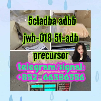 Ogłoszenie - 5cladba adbb jwh-018 5f-adb precursor  杂色单位