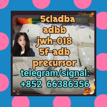 Ogłoszenie - 5cladba adbb jwh-018 5f-adb precursor  散热色儿童