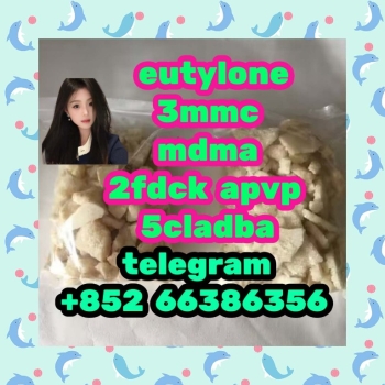 Ogłoszenie - eutylone 3mmc mdma 2fdck apvp   忠实粉丝染色体