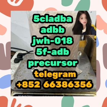 Ogłoszenie - 5cladba adbb jwh-018 5f-adb precursor  短信费输入法