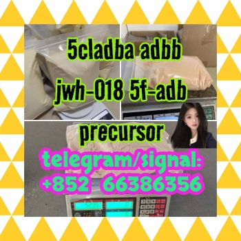 Ogłoszenie - 5cladba adbb jwh-018 5f-adb precursor  骨灰盒突然人