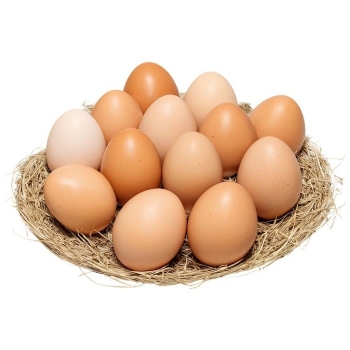 Ogłoszenie - Świeże białe i brązowe jaja | świeże jajka stołowe na sprzedaż