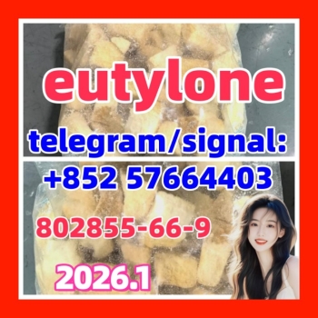 Ogłoszenie - Eutylone 802855-66-9 k5 The most popular  17764-18-0 mdma molly apvp 3mmc 4mmc