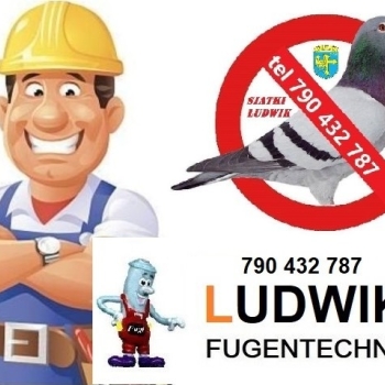 Ogłoszenie - złota rączka Ludwik fugi & siatki - Opole - 1,00 zł