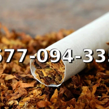 Ogłoszenie - EXTRA Tani Tytoń na wagę PREMIUM 110 PLN / 1KG