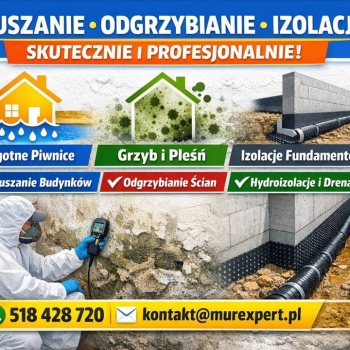 Ogłoszenie - Wilgoć i grzyb w piwnicy? Skuteczne osuszanie i trwała ochrona fundamentów