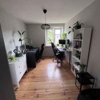 Ogłoszenie - 3pok, 49met, okolice Katowickiej PIWNICA/PARKING (Wrocław)