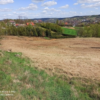 Ogłoszenie - Działka rolno-budowlana (5600m2) ul. Leśna MEDIA (Tuchów)