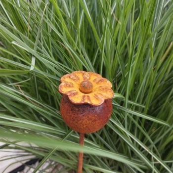 Ogłoszenie - Makówki metalowe dekoracje do ogrodu.