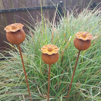 Ogłoszenie - Makówki metalowe dekoracje do ogrodu.