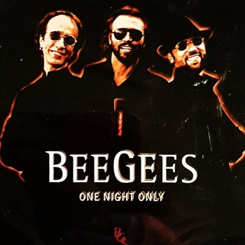 Ogłoszenie - Polecam Album CD Kultowego Zespołu BEE GEES - Album One Night Only - Dolnośląskie - 43,00 zł