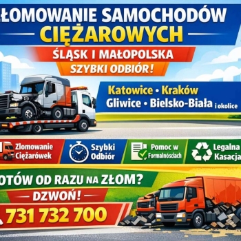 Ogłoszenie - Skup samochodów powypadkowych, uszkodzonych | Odbiór lawetą