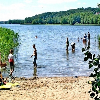 Ogłoszenie - Apartamenty nad kaszubskim jeziorem, obok Wieżycy i domu do góry nogami.