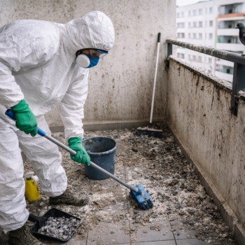 Ogłoszenie - Sprzątanie mieszkań po gołębiach, ptakach, tel. 504-746-203, Wrocław