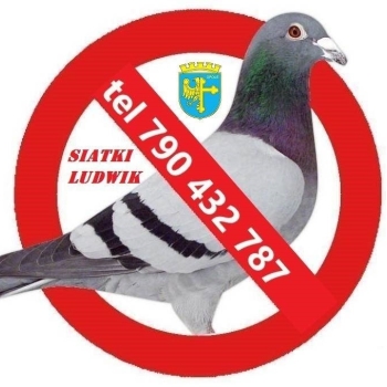 Ogłoszenie - Siatka na balkon Opole