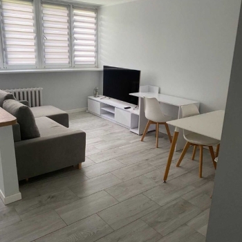 Ogłoszenie - 2pok, 39met, Okolice Legnickiej KOMÓRKA/WINDA (Wrocław)