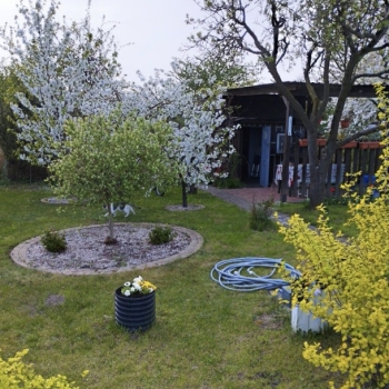 Ogłoszenie - Działka Rekreacyjna (300 m2) ul. Norwida ALTANKA (Kluczbork)