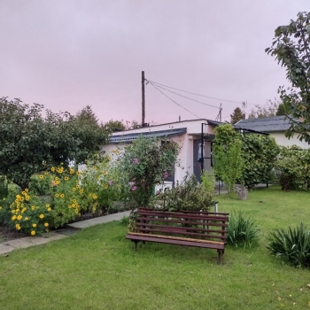 Ogłoszenie - Działka ROD z domkiem 2026 – Aleksandrów Kujawski