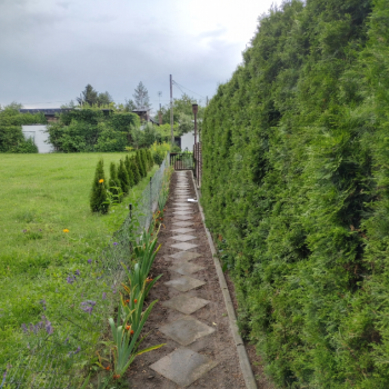 Ogłoszenie - Działka ROD z domkiem 2026 – Aleksandrów Kujawski - Aleksandrów Kujawski - 29 999,00 zł