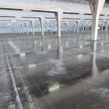 Ogłoszenie - Hala magazynowa 12500m2 - Ozorków - 120 000,00 zł