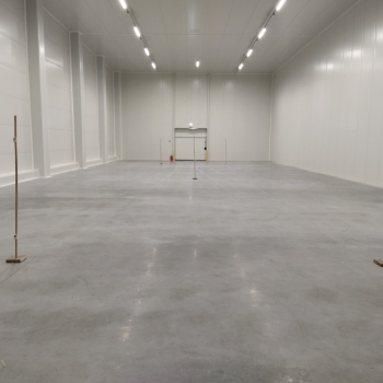 Ogłoszenie - Wynajmę Mroźnię Babimost 500 m2 - Sulechów - 30,00 zł