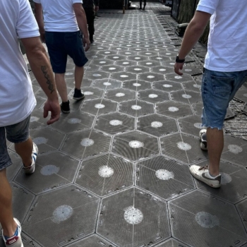 Ogłoszenie - Tymczasowa podłoga eventowa - festiwale i wydarzenia plenerowe - Częstochowa