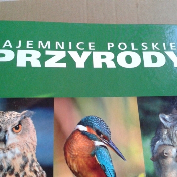 Ogłoszenie - TAJEMNICE POLSKIEJ PRZYRODY