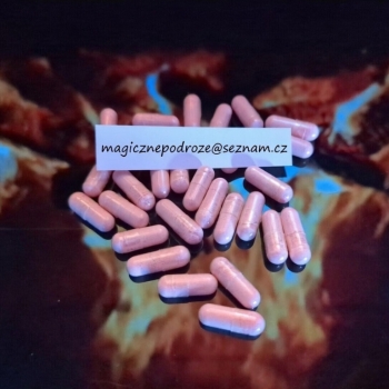 Ogłoszenie - Kapsułki 2CB 25mg - Mazowieckie - 250,00 zł