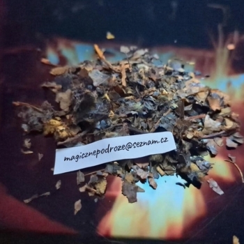 Ogłoszenie - Changa - Mini Blast