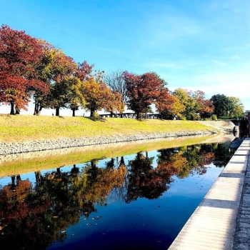 Ogłoszenie - 2pok, 48met, al. Marcina Kromera PIWNICA/PARKING (Wrocław)