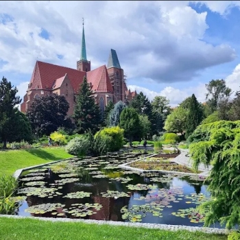 Ogłoszenie - 2pok, 35met, okolice Piaskowej ROZKŁAD/PIWNICA (Wrocław)