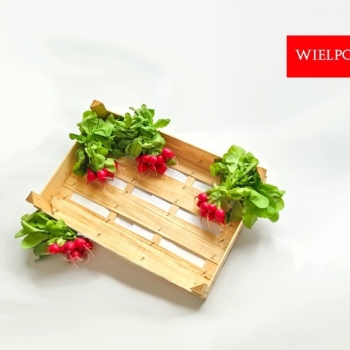 Ogłoszenie - Opakowania do rzodkiewki / Skrzynki do rzodkiewki