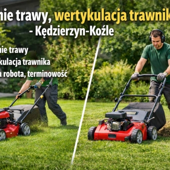 Ogłoszenie - Koszenie trawy + wertykulacja trawnika Kędzierzyn-Koźle