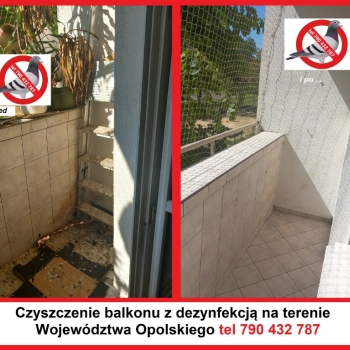Ogłoszenie - siatka na gołębie dla kota czyszczenie po gołębiach - Opole - 1,00 zł