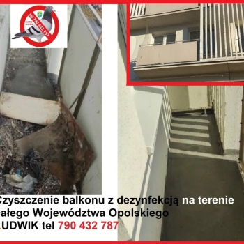 Ogłoszenie - Czyszczenie po gołębiach Opole - Opole