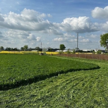 Ogłoszenie - Działka budowlana (3000 m2) MEDIA (Żórawina) - Wrocław - 890 000,00 zł