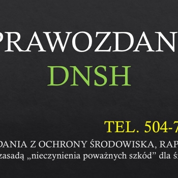 Ogłoszenie - Raportowanie DNSH, audyt, konsultacje, tel. 504-746-203, cennik, Wymogi, napisanie raportu. - Wrocław
