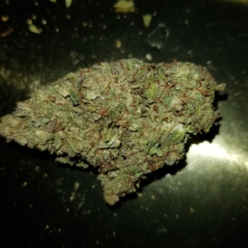 Ogłoszenie - Marihuana 26%thc watermelon zkittlez - Holandia - 250,00 zł