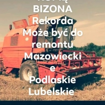 Ogłoszenie - Kupię bizon rekord do 25tys - Siedlce - 25 000,00 zł