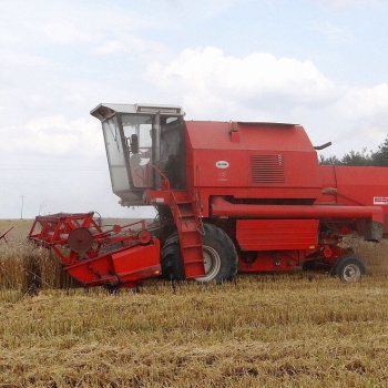 Ogłoszenie - Kupię Rekorda lub naprawimy ci inną maszynę w rozliczeniu - Siedlce - 33 333,00 zł