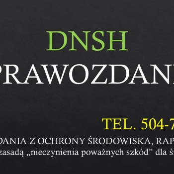 Ogłoszenie - DNSH, szkolenie indywidulane i pomoc, tel. 504-746-203 - Wrocław