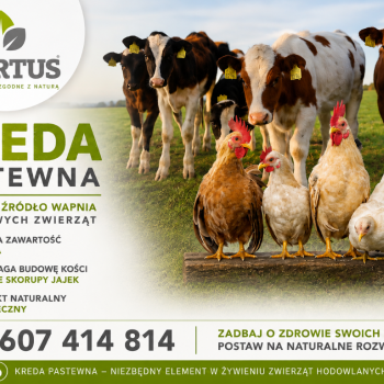 Ogłoszenie - KREDA PASTEWNA - Mazowieckie - 210,00 zł