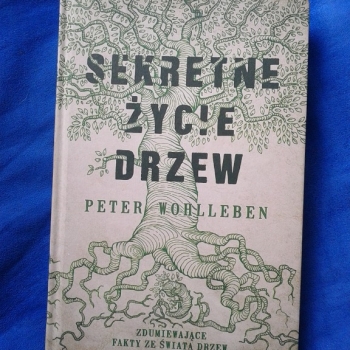 Ogłoszenie - SEKRETNE ŻYCIE DRZEW PETER WOHLLEBEN 602 423 931 - Praga-Południe