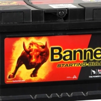 Ogłoszenie - Akumulator Banner Starting Bull 60Ah 480A P56009 - Wielkopolskie - 349,00 zł