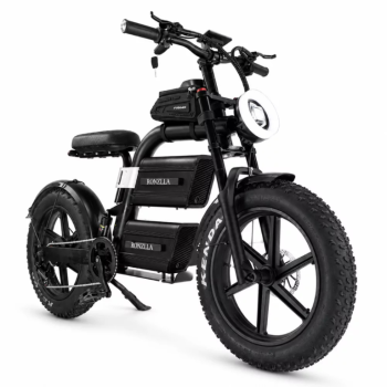Ogłoszenie - Pojazd elektryczny FAT BIKE BILI BIKE ELION - Małopolskie - 9 000,00 zł