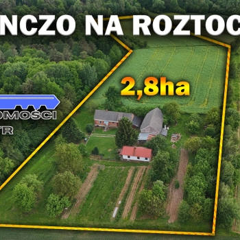 Ogłoszenie - 🌲 Nie kupujesz domu. Kupujesz własny kawałek świata | 2,8 ha | Kondraty | 229 000 zł 🏡✨